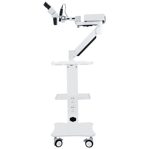 Led dental surgical - led,