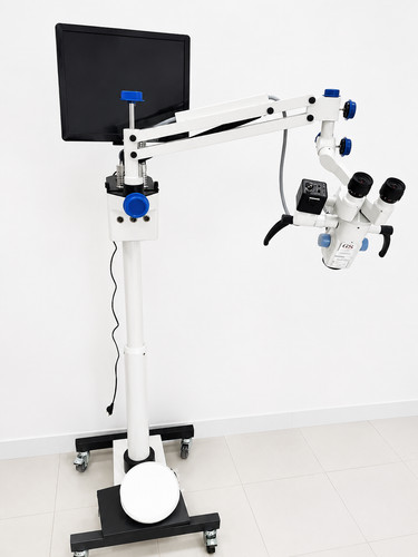 Step ent multidisciplinary - 5,