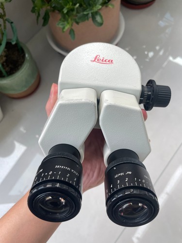 Leica adjustable binocular - adjustable,