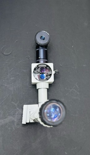 Surgical microscope with beam - with,